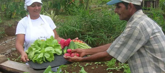 La Anita Rainforest Ranch | Alajuela (ili) - Guayabo