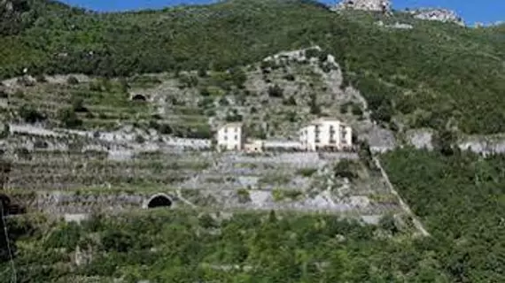 Limoneto Di Ercole | Campania - Salerno (il) - Maiori - Erchie