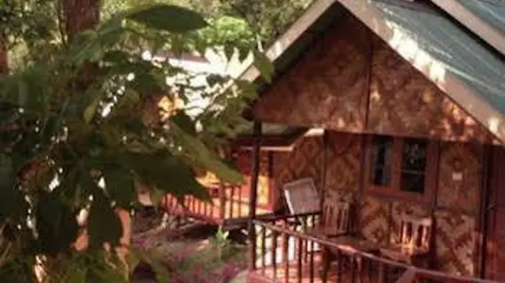 Phi Phi Jungle Hill Bungalow | Krabi İli - Ko Phi Phi