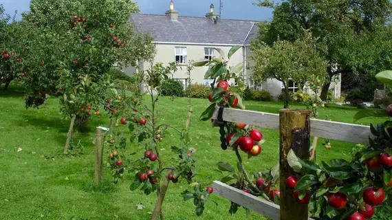 Trean House | Donegal (kontluk) - Lecamy