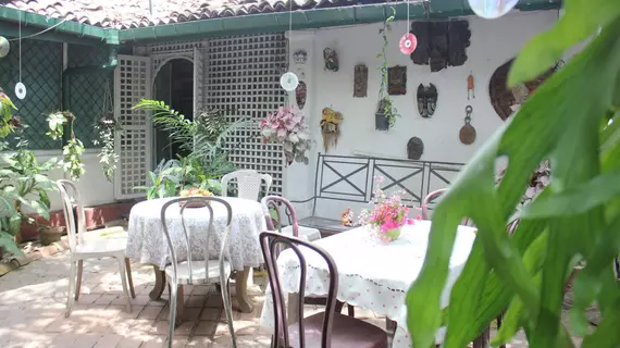 Vista Chelsea Gardens BnB | Colombo Bölgesi - Colombo - Kollupitiya