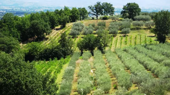 Villa Colle di Rocco | Umbria - Perugia (vilayet) - Cannara