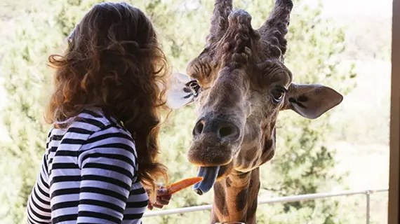 Jamala Wildlife Lodge | Avustralya Başkent Bölgesi - Tuggeranong - Kanberra (ve civarı) - Molonglo Valley