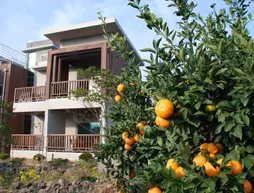 Jejueco Suites | Jeju Adası - Seogwipo - Jungmun