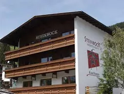 Steinbock Appartements | Tirol - Schwaz District - Schwaz (ve civarı) - Tux - Vorderlanersbach