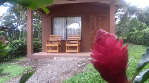 Paraiso Camping Lodge | Alajuela (ili) - Guayabo