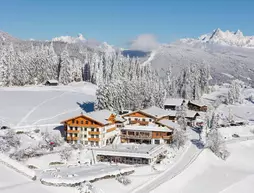 Naturhotel Edelweiss Wagrain | Salzburg (eyalet) - Sankt Johann im Pongau - Wagrain