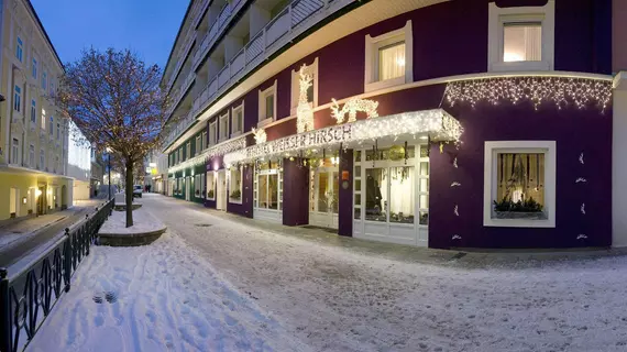 Aktivhotel Weißer Hirsch | Styria - Mariazell