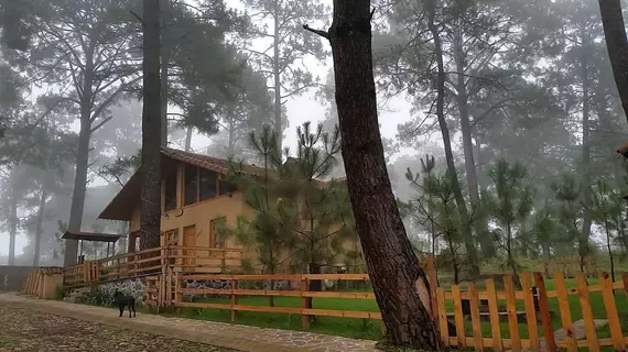 Cabanas Los Abuelos | Jalisco - Guadalajara (ve civarı) - Mazamitla