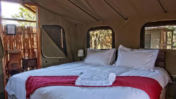 Shindzela Tented Safari Camp | Limpopo - Maruleng - Hoedspruit