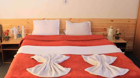 Hotel Mahay Palace | Cammu ve Keşmir - Leh