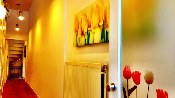 Tulip of Amsterdam B&B | Kuzey Hollanda - Amsterdam - Amsterdam Merkezi