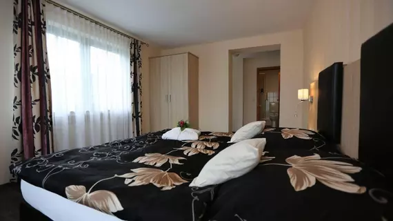 Ringhotel Villa Moritz | Rhineland-Palatinate - Westerwaldkreis - Oberahr