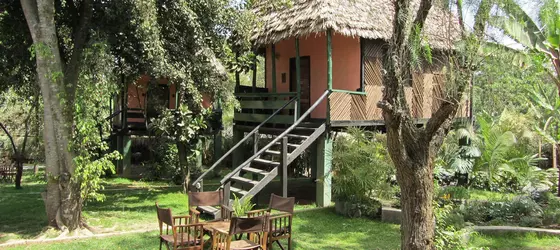 L'Oasis Lodge & Restaurant | Arusha Bölgesi - Arusha