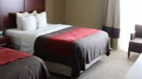 Comfort Inn Central | Kolorado - Denver (ve civarı) - Denver