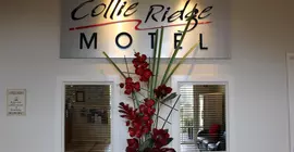 Collie Ridge Motel | Batı Avustralya - Collie