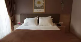 Hotel Ottoman Luxury |  Istanbul  - Fatih - Süleymaniye Mahallesi