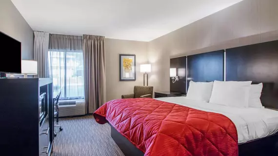 Clarion Inn and Suites Springfield | Missouri - Springfield (ve civarı) - Springfield