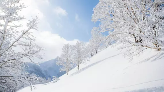 Kiseki | Hokkaido - Abuta - Niseko (ve civarı) - Kutchan