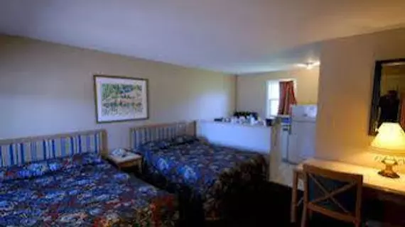 Kitchener Motel | Ontario - Kitchener (ve civarı) - Kitchener