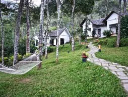 Niraamaya Cardamom Club | Kerala - Idukki Bölgesi - Thekkady