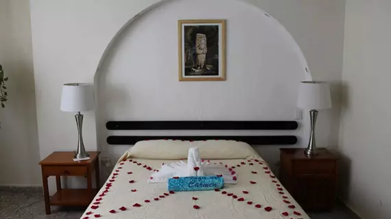 Hotel Delfin | Quintana Roo - Solidaridad - Playa del Carmen - Centro