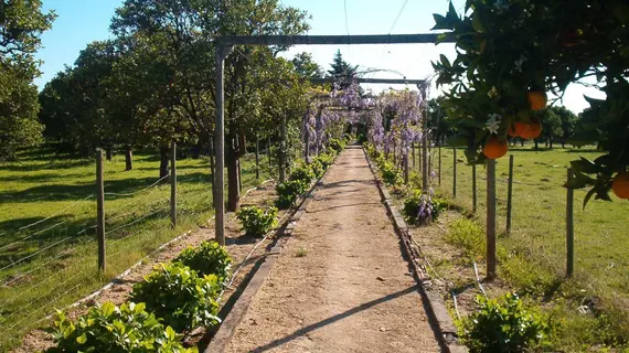 Quinta do Casalinho | Centro - Santarem Bölgesi - Almeirim