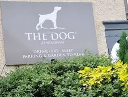 Dog Inn At Wingham | Kent (kontluk) - Ashford - Canterbury