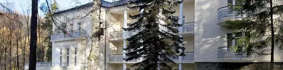 Modrzewie Park Hotel | Küçük Polonya Voyvodalığı - Szczawnica