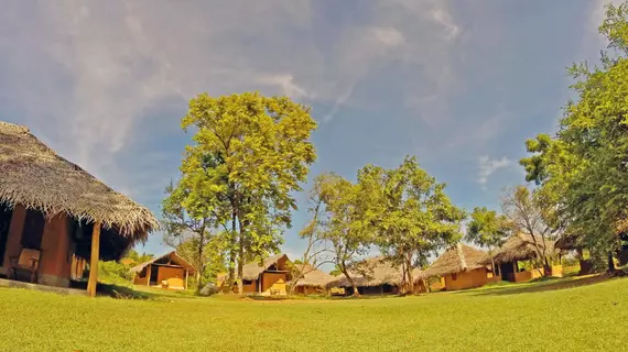 Green Ayurvedic Resort | Merkez Vilayet - Matale Bölgesi - Sigiriya