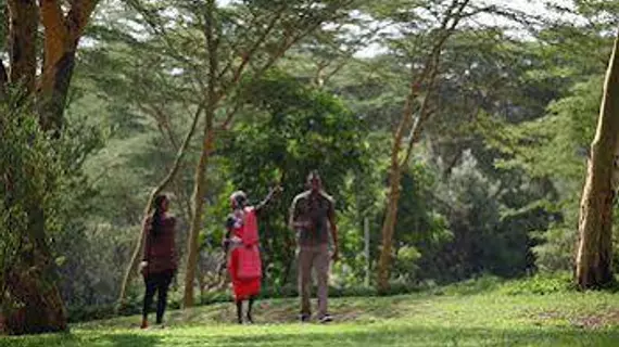 Sarova Lion Hill Game Lodge | Nakuru İlçesi - Nakuru (ve civarı) - Nakuru