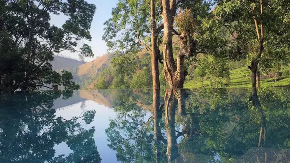 Windermere Estate | Kerala - Idukki Bölgesi - Devikolam