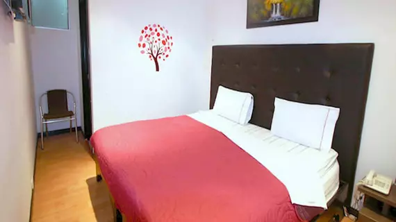 Hotel Lemus Plaza | Cundinamarca - Bogota (ve civarı) - Bogota