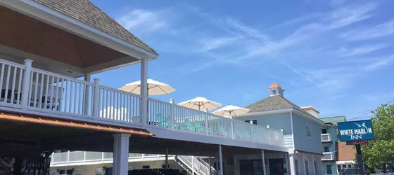 White Marlin Inn | Maryland - Ocean City (ve civarı) - Ocean City