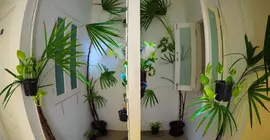 Chino Town Gallery Hostel | Phuket (ve civarı) - Phuket - Talat Nuea