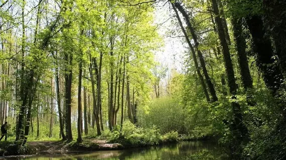 Le Val D'omignon | Hauts-de-France - Aisne (bölge) - Trefcon