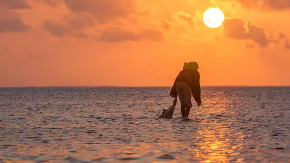 Hakuna Majiwe Lodge | Unguja Güney Bölgesi - Paje