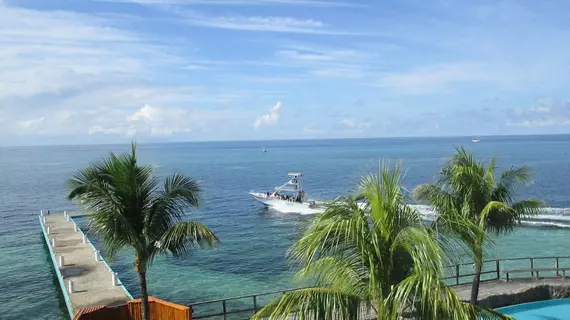 Caribe Tesoro | Bay Adaları - Roatan