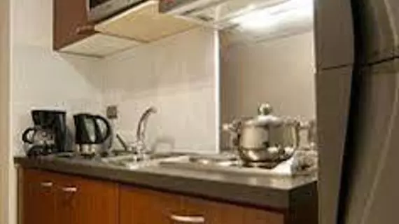 Park Apartments for Rent | Santiago - Santiago (ve civarı) - Santiago - Bellas Artes