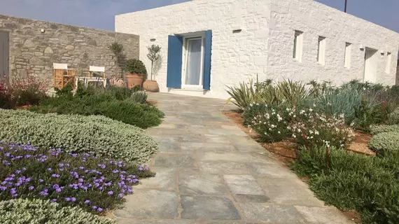 Villa Bellonia | Ege Adaları - Paros