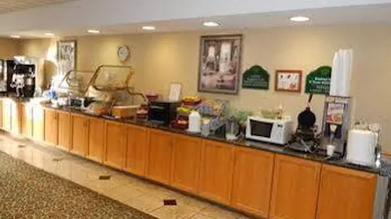 Wingate by Wyndham Atlanta-Duluth | Georgia - Atlanta (ve civarı) - Duluth