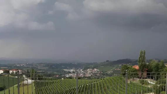 Enolocanda Del Tufo | Piedmont - Cuneo (il) - Dogliani