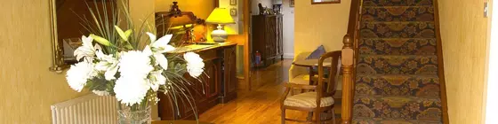 Ardree House B&B | Kerry (kontluk) - Killarney