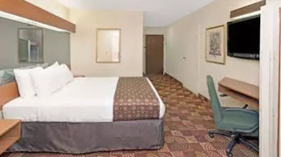 Microtel Inn by Wyndham Denver | Kolorado - Denver (ve civarı) - Denver