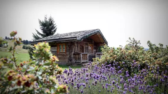 Relais du silence Le Manoir des Montagnes | Bourgogne-Franche-Comte - Jura (bölge) - Les Rousses