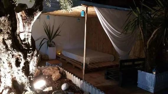 NWT Paradise Urban Hostel | Valencia Bölgesi - Alicante (vilayet) - Alicante