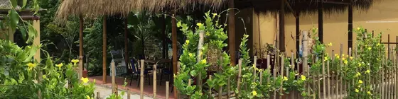 Tropical Garden Homestay | Kien Giang (vilayet) - Phu Quoc - Ong Lang