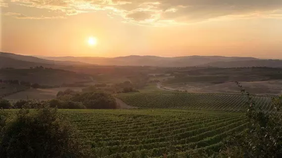 Agriturismo A. Bonacchi | Toskana - Siena (vilayet) - Montalcino