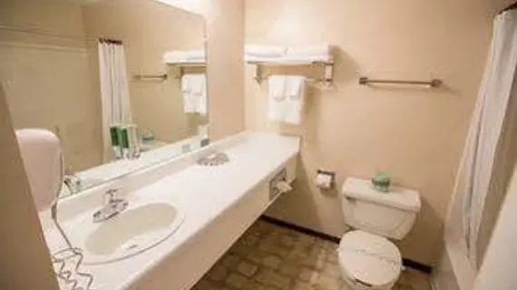 Rosebud Inn | Missouri - Branson (ve civarı) - Branson - Branson Theater District