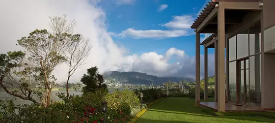 Tea Plant Nuwara Eliya | Merkez Vilayet - Nuwara Eliya Bölgesi - Nuwara Eliya